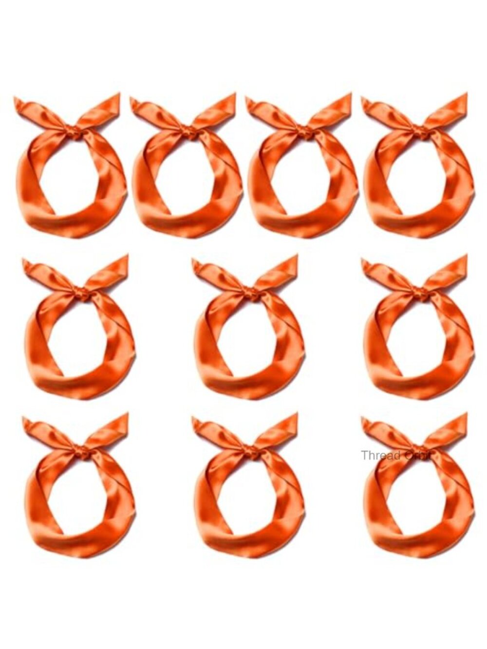 10 Pcs Satin Skinny Scarf Neck Tie Ribbon Choker Set